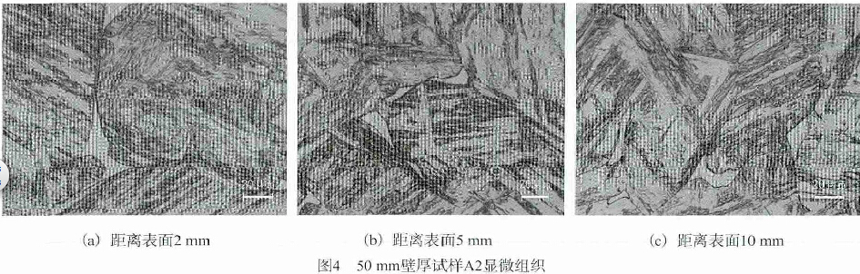 圖4 50 mm壁厚試樣A2顯微組織