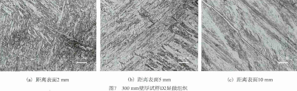 圖7 300mm壁厚試樣D2顯微組織